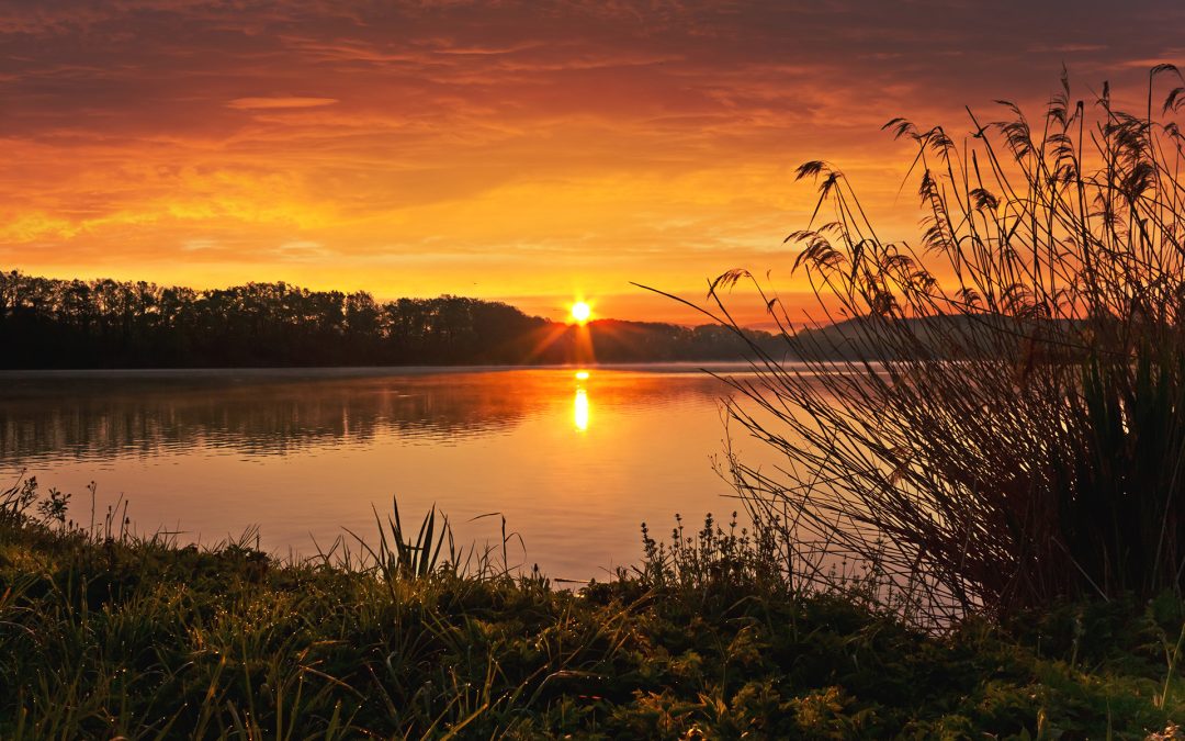 Best Places to Live in Smith County, TX: A Guide for Homebuyers